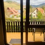 Blackforest Nahe Europapark Rust * Gengenbach