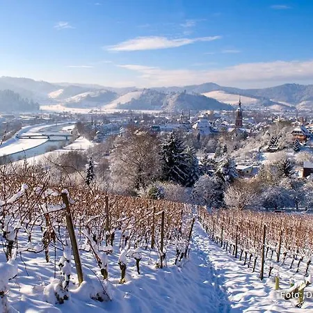 Lejlighed Blackforest Nahe Europapark Rust