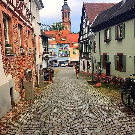 Blackforest Nahe Europapark Rust Apartment Gengenbach